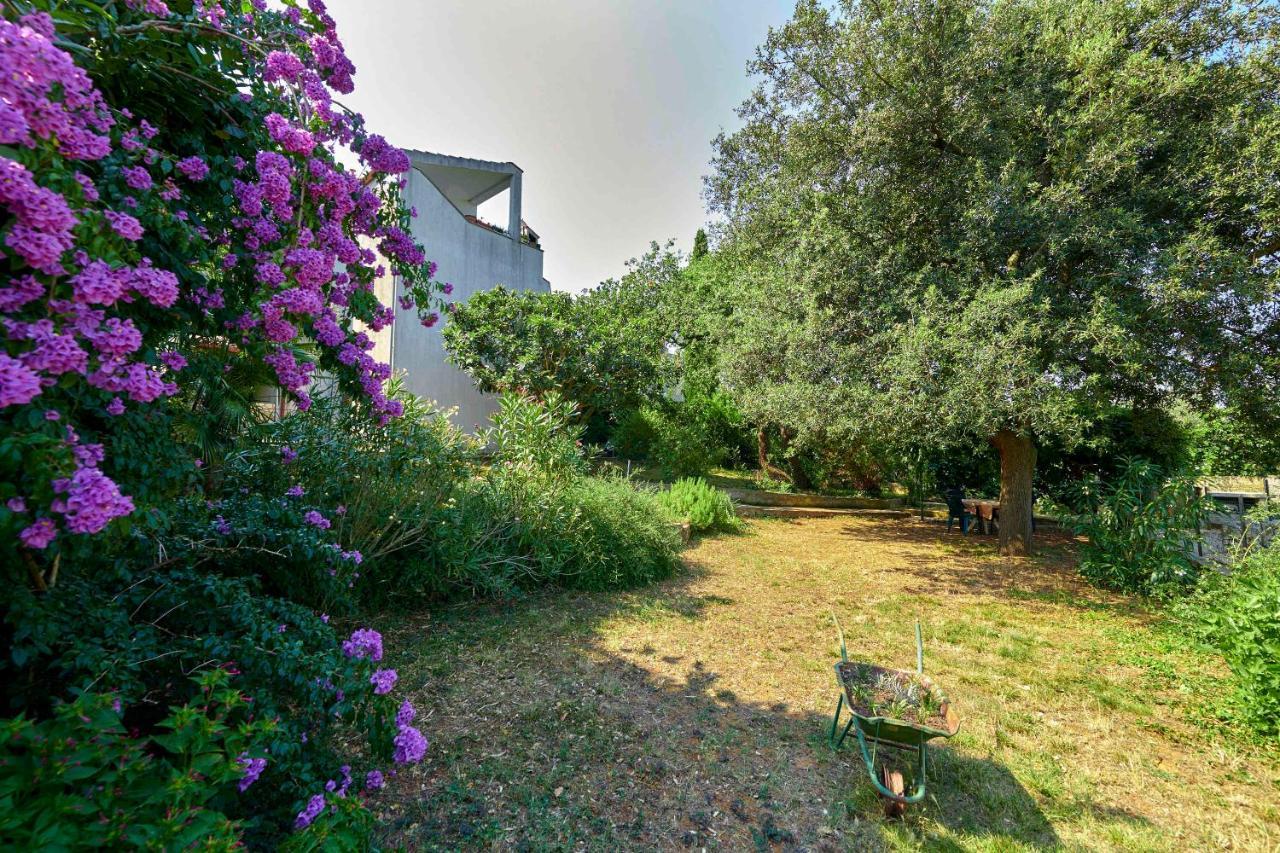 באניולה Apartments Dracice 1019 מראה חיצוני תמונה