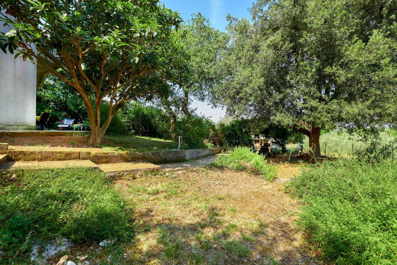 באניולה Apartments Dracice 1019 מראה חיצוני תמונה